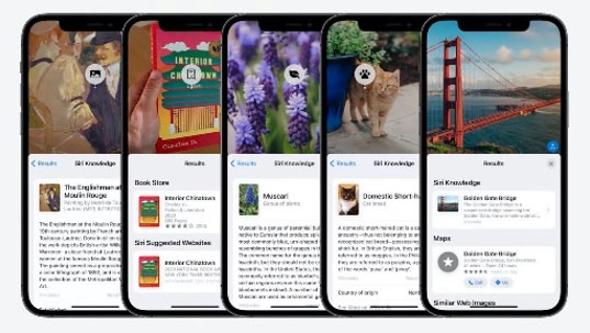 画像を調べる iOS 15