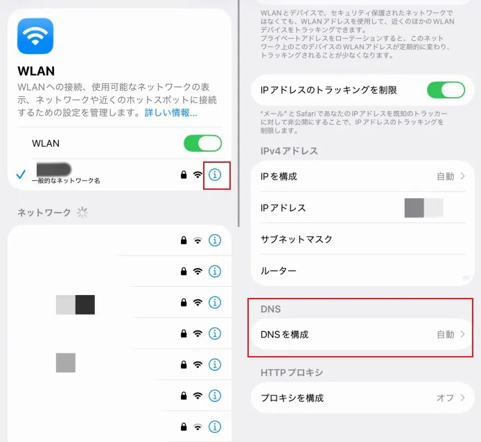 Passfab iPhone DNS制限　解除