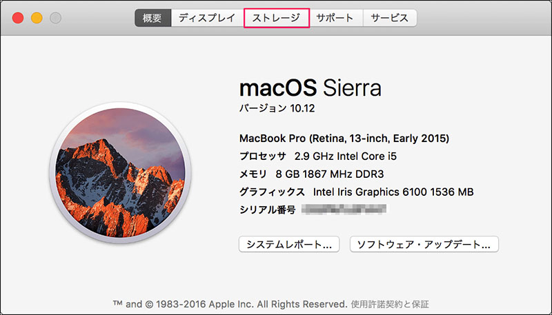 mac システムデータ 減らす ストレージ 最適化
